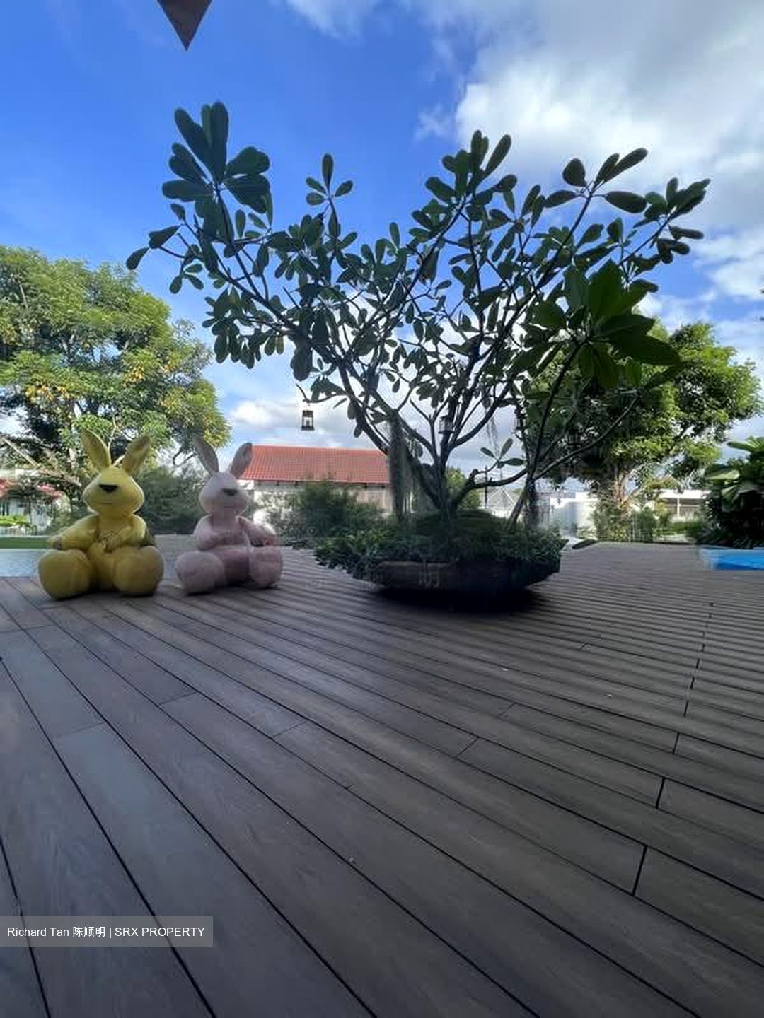 Raffles Park (D11), Detached #570984081